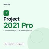 Ключ Project 2021 Professional 1019 фото